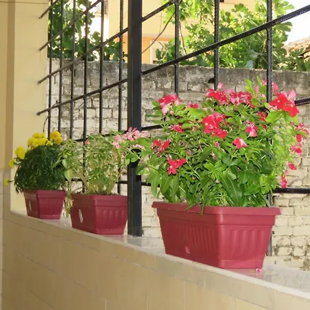 In Xhomlliku, Xhamlliku Apartmán