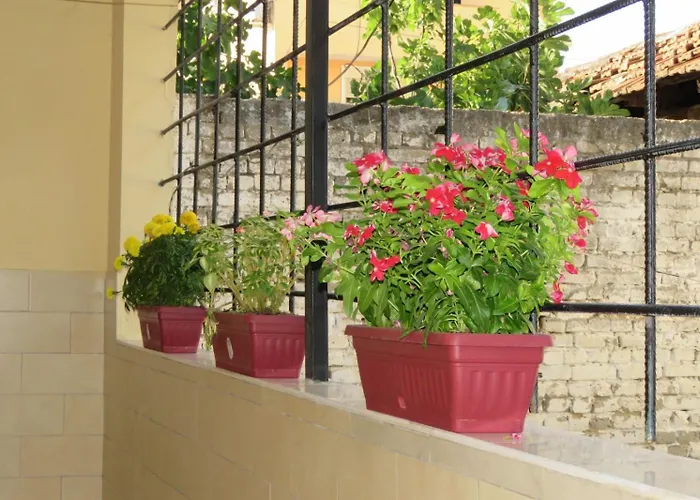 Cozy Near Center, Xhamlliku Lägenhet